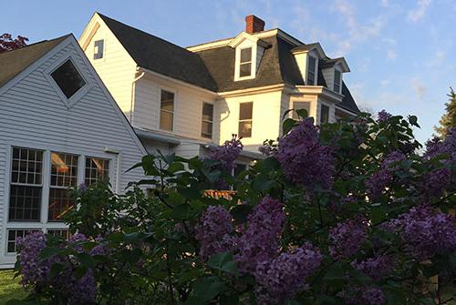 Lilac bush in foreground, Literary House in background